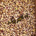  انجیر استهبان 